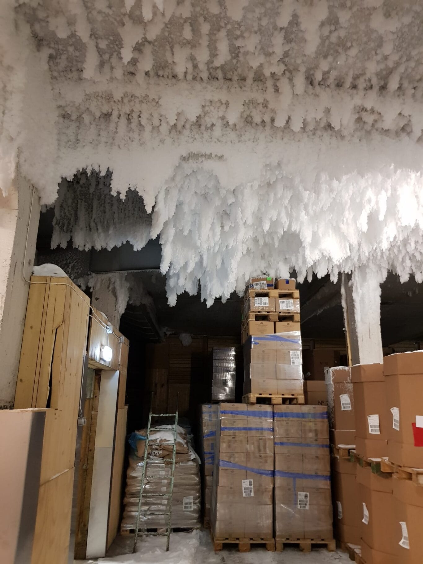 findus-before-masterveil-Air-curtain